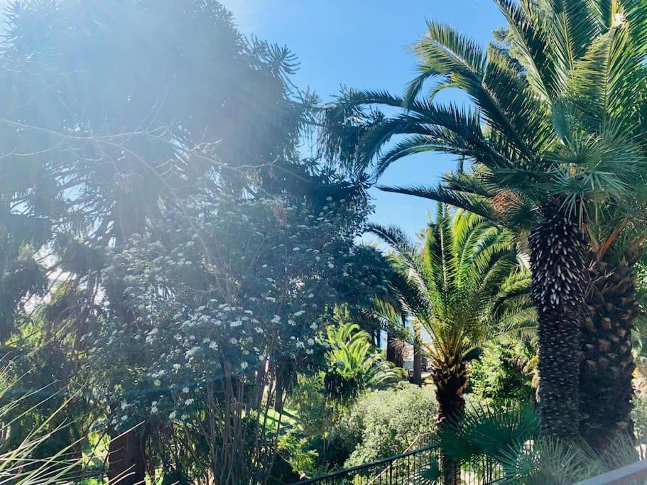 Apartmán Le Port Tamaris La Seyne-sur-Mer Exteriér fotografie