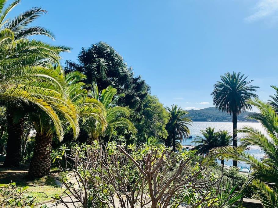 Apartmán Le Port Tamaris La Seyne-sur-Mer Exteriér fotografie